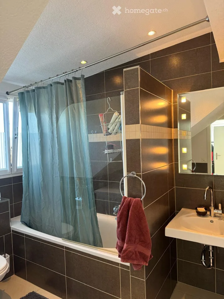 Affascinante loft di 2,5 locali a Hallwylplatz, Zurigo 8004
