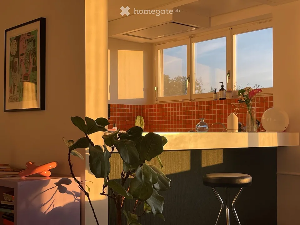 Incantevole appartamento di 2.5 locali con vista sulla città a Zürich-Albisrieden