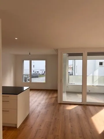 Modern 3.5-room apartment (over 50 without pets)
