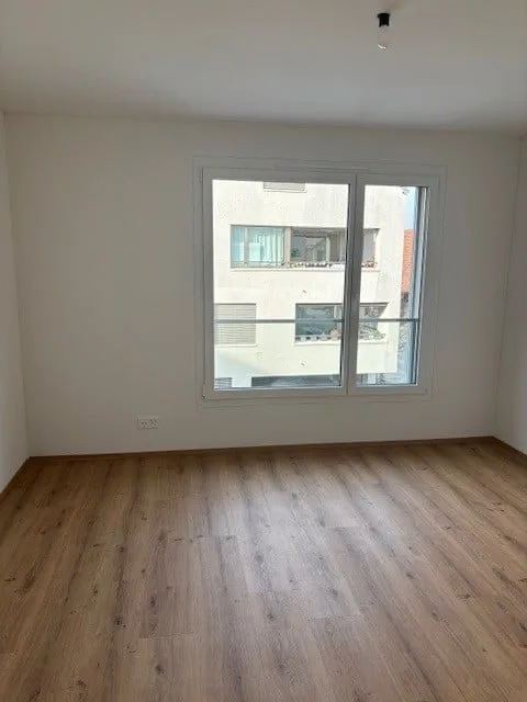 Modern 3.5-room apartment (over 50 without pets)