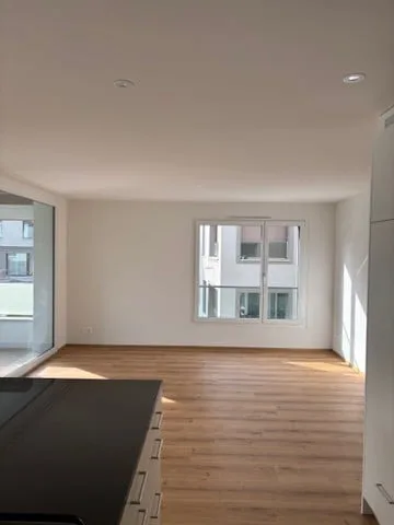 Modern 3.5-room apartment (over 50 without pets)