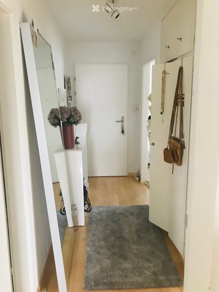 Tenant sought for 2-room apartment in Egg near Zurich