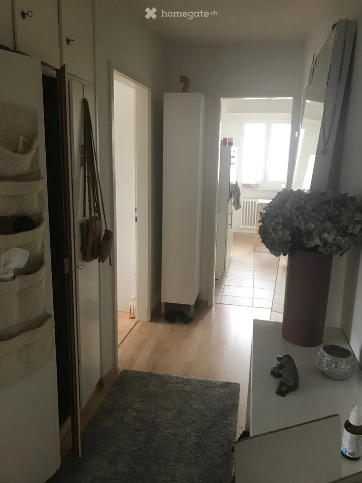 Tenant sought for 2-room apartment in Egg near Zurich