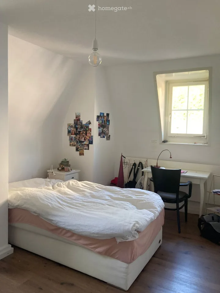 Spacious old town apartment with modern comfort in a historic ambiance