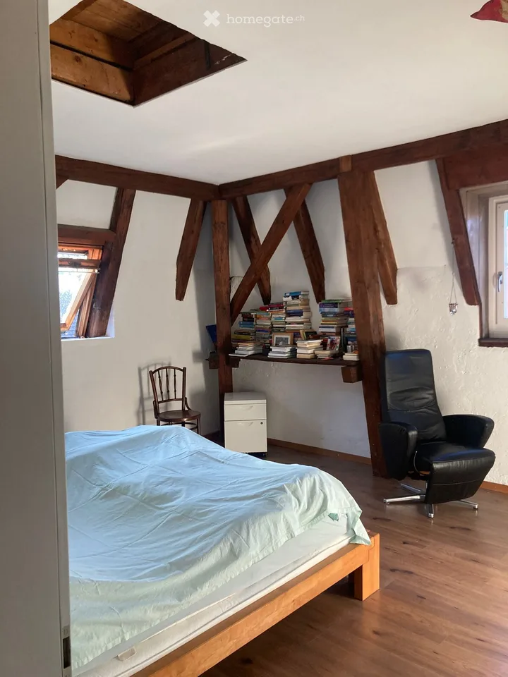 Spacious old town apartment with modern comfort in a historic ambiance