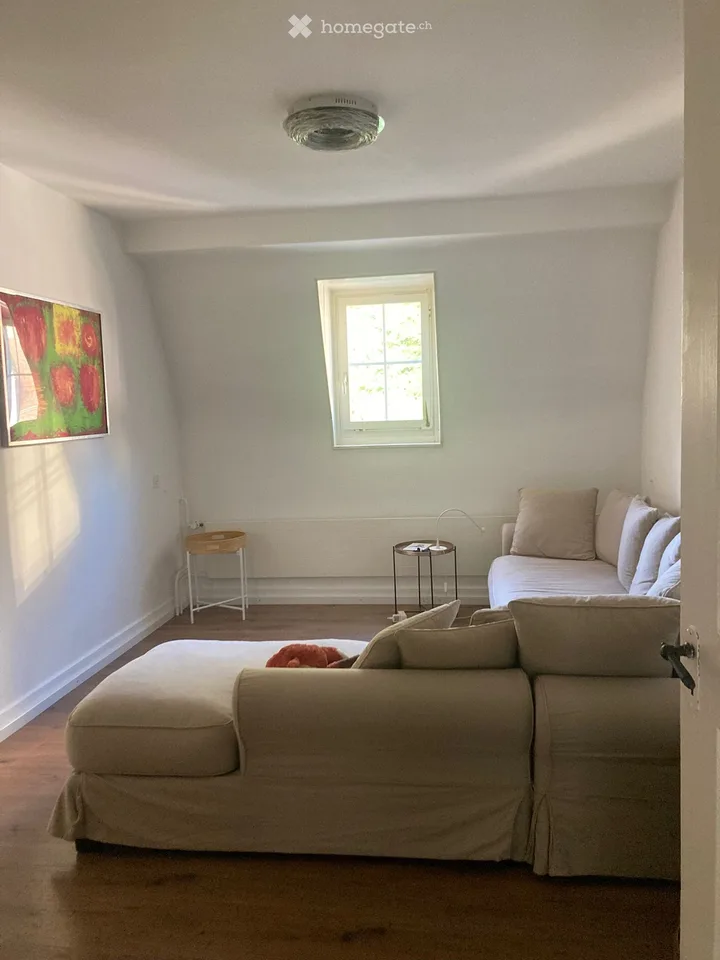 Spacious old town apartment with modern comfort in a historic ambiance