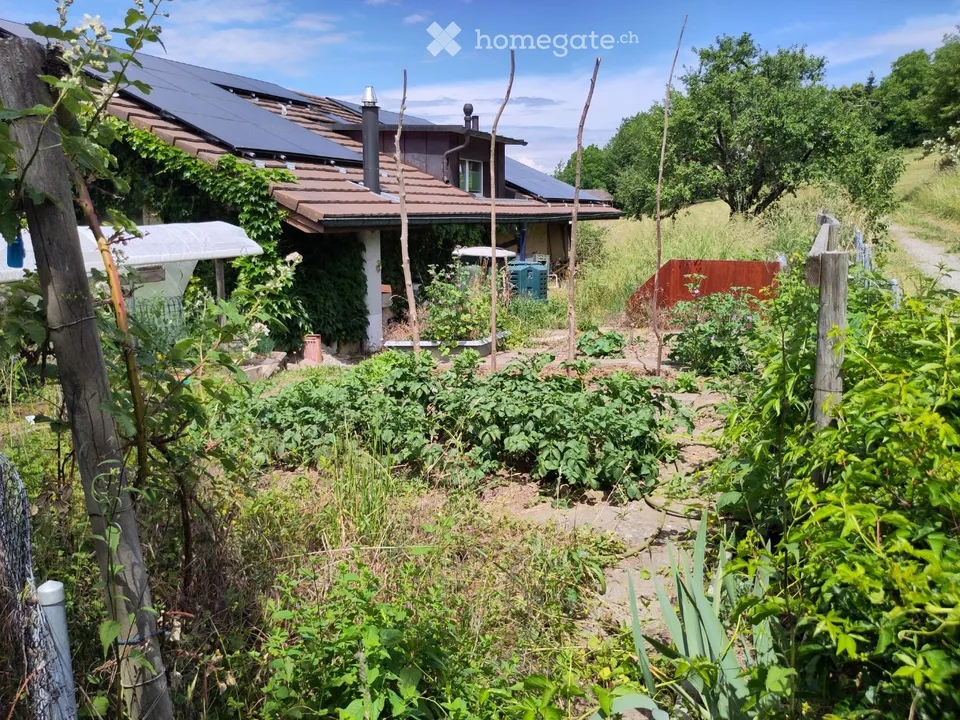 Location temporaire (2 ou 3 ans) 6 pièces maison individuelle