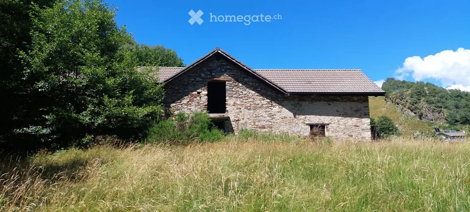 Rustic Property with Building Permit for Renovation
