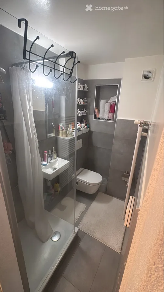 1,5 pièces en centre ville