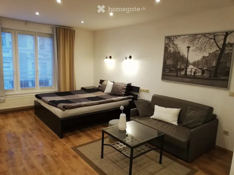 Ein schönes Apartment in Freiburg verfügbar