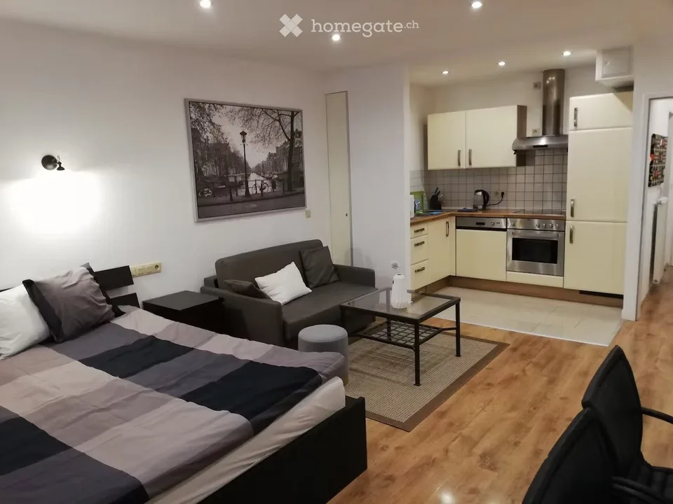 Ein schönes Apartment in Freiburg verfügbar