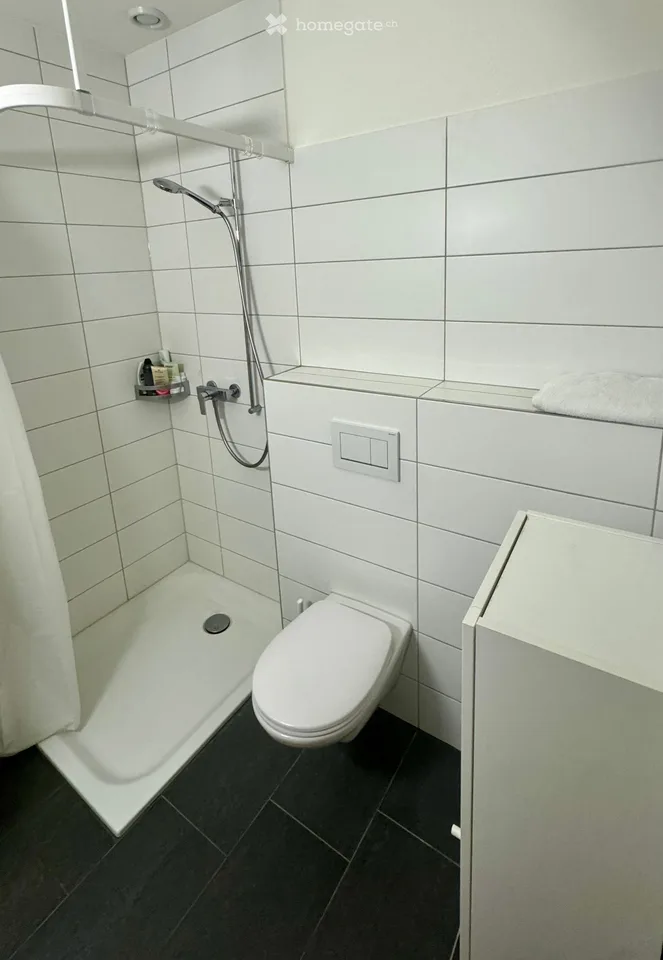 Studio in Zürich Kasernenareal
