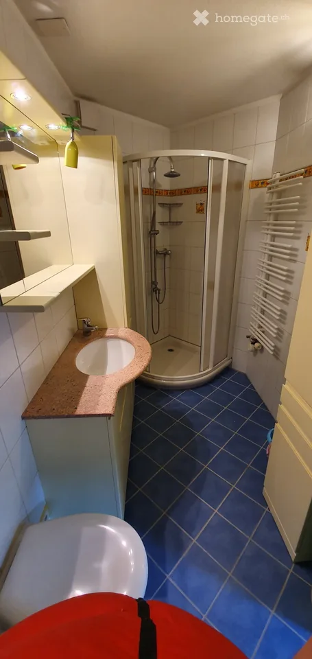 Apartment for rent with garden and parking spaces