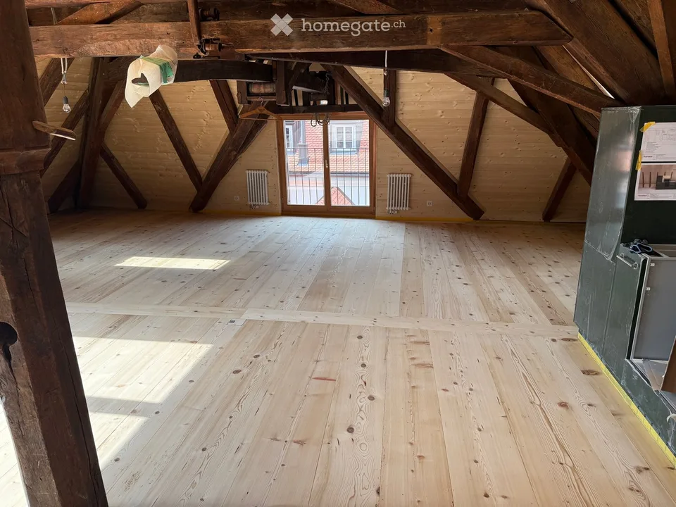 Ersvermieting Loft Altstadtwohnung mit Balkon und Galerie