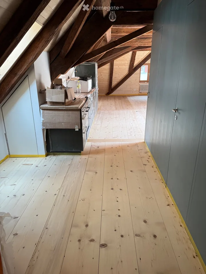 Ersvermieting Loft Altstadtwohnung mit Balkon und Galerie