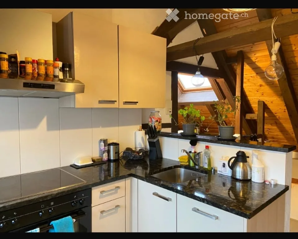 Ruhige Wohnung im Grünen
