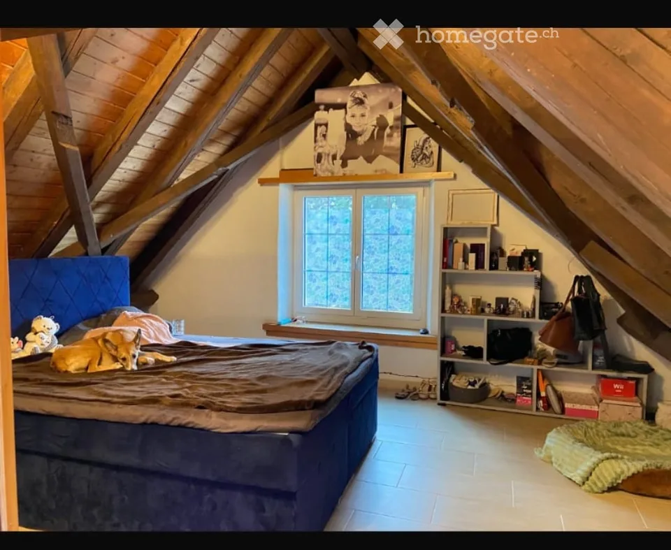 Ruhige Wohnung im Grünen
