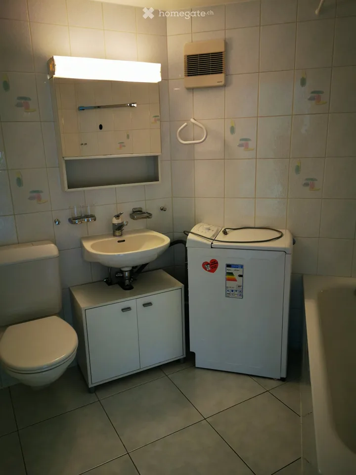 Studio (1,5 Zimmer) für 1 Person / Nichtraucher