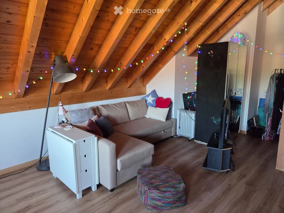 Large room of 44 m2 - Female only!