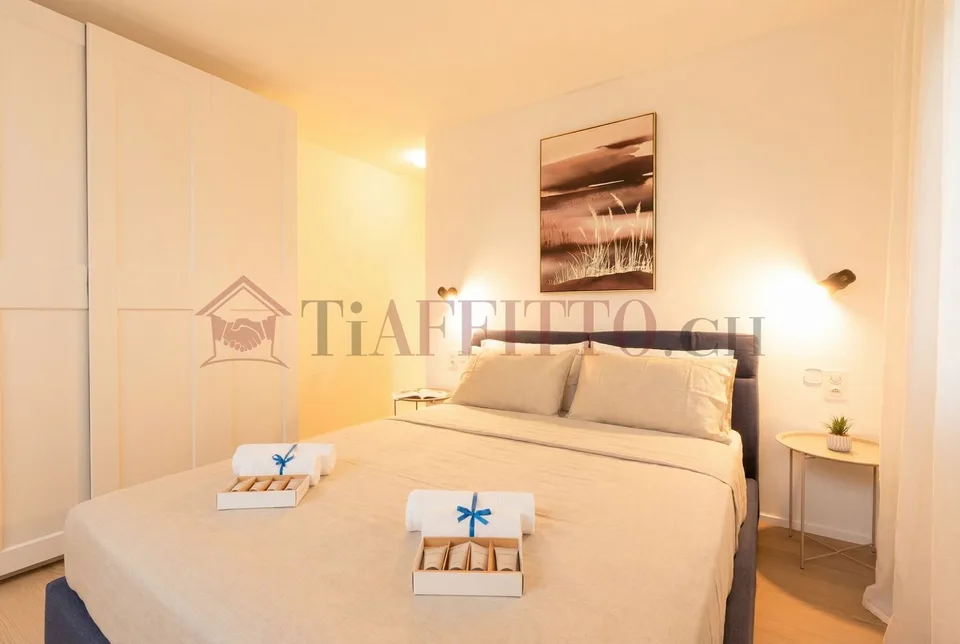 SPLENDIDO DUPLEX CON GIARDINO NEL CUORE DI LUGANO