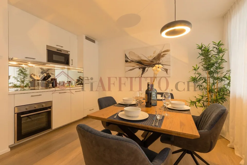 Prächtiges Duplex mit Garten im Herzen von Lugano