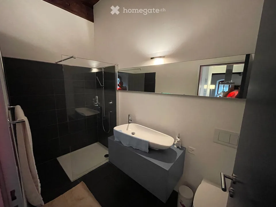 Charmantes 2.5-Zimmer-Loft im Altbau – Wildegg, 5103