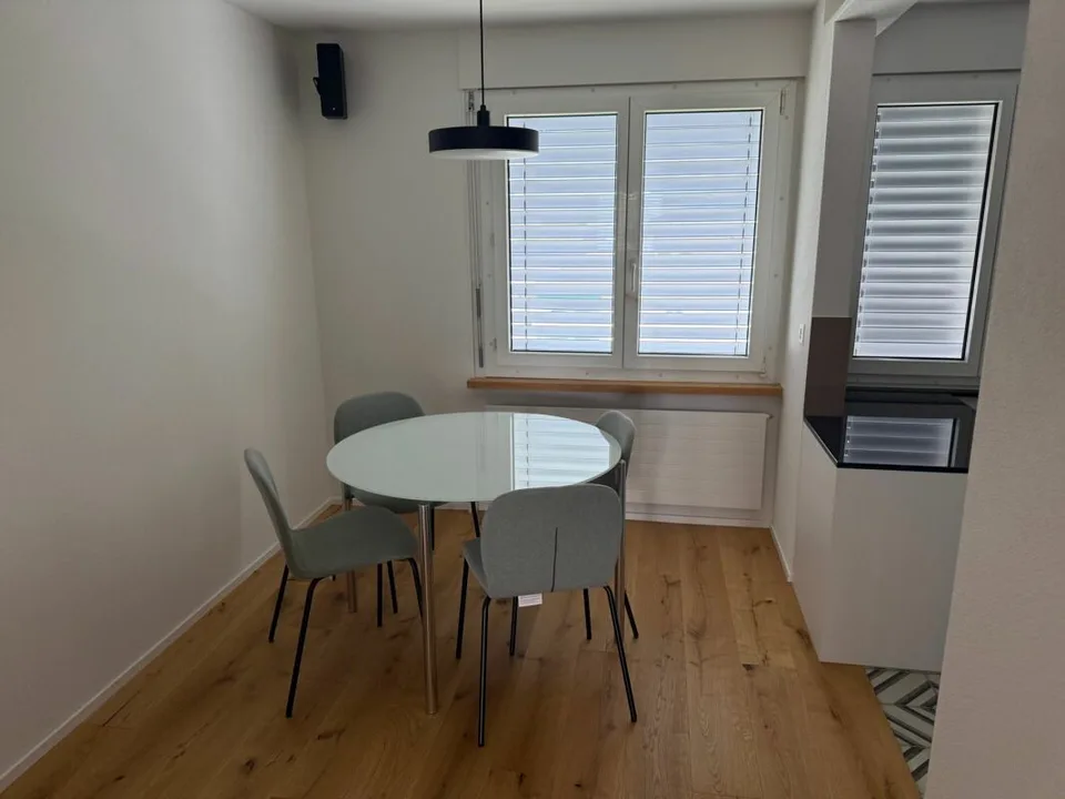 Appartement de nouvelle valeur (rénové pour 115 000 CHF.-) avec ascenseur dans un quartier calme