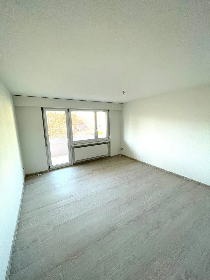 Appartement de 3 pièces rénové avec grand balcon ensoleillé