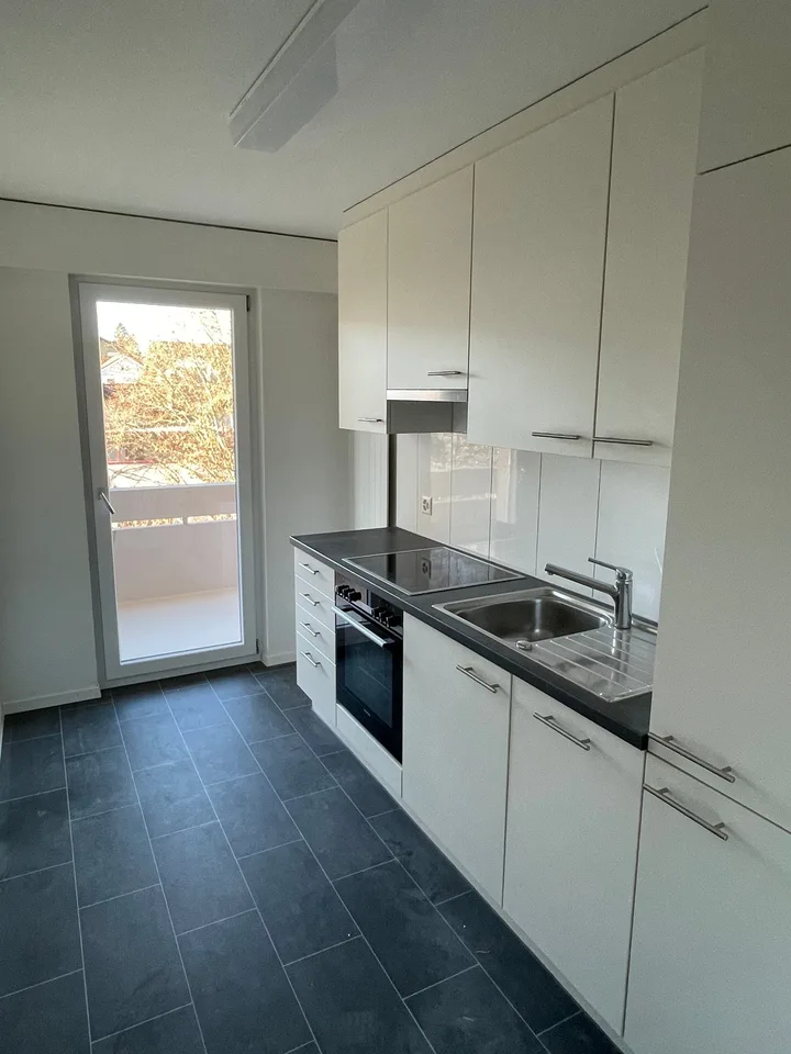 Appartement de 3 pièces rénové avec grand balcon ensoleillé