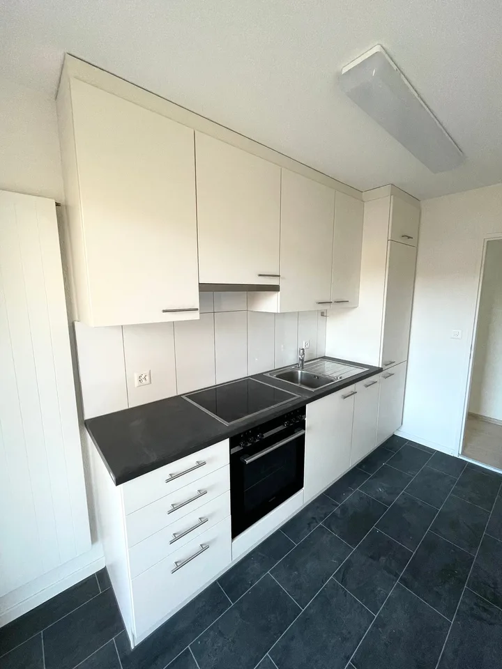 Appartement de 3 pièces rénové avec grand balcon ensoleillé