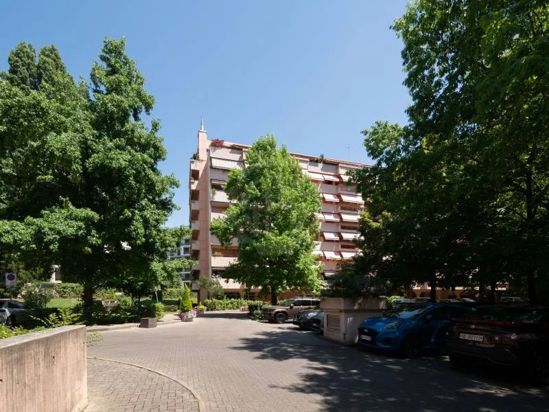 Arcata commerciale affittata (Ginevra, Eaux-Vives)