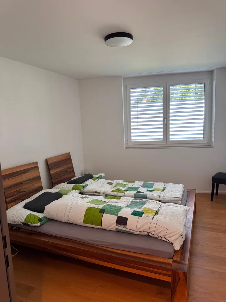 Modern 3.5 room apartment