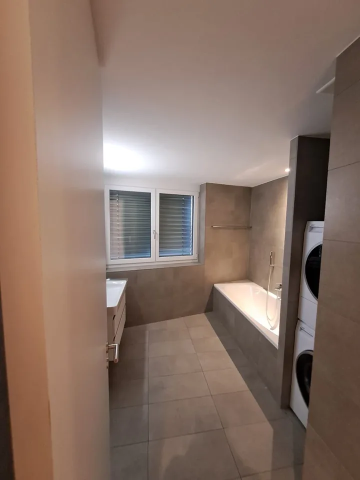 Modern 3.5 room apartment