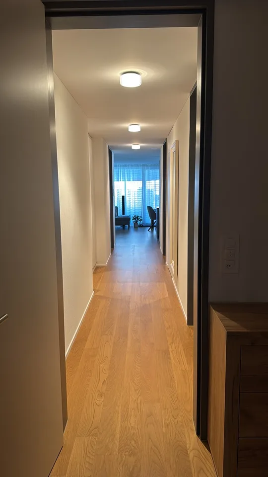 Modern 3.5 room apartment