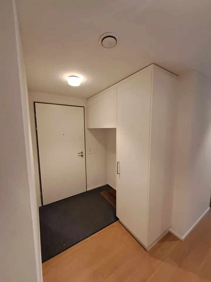 Modern 3.5 room apartment