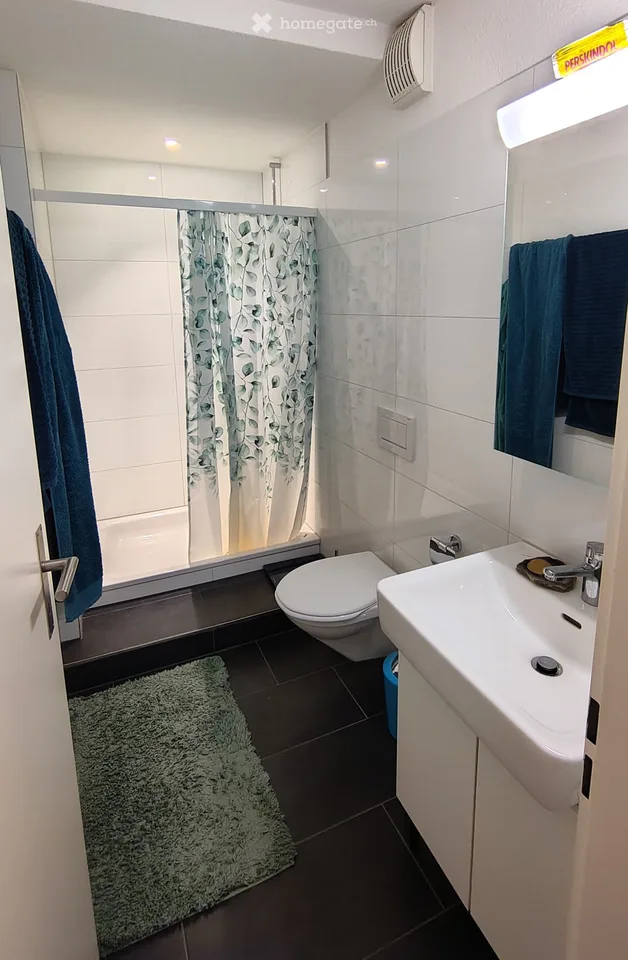 Charmante 3.5-Zimmer-Wohnung an ruhiger Lage in Zürich Örlikon