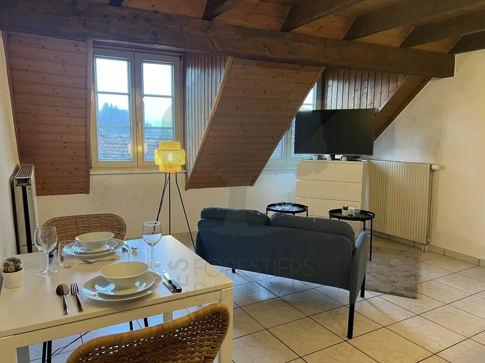 Charmantes Apartment mit Mezzanine in der Altstadt von Porrentruy