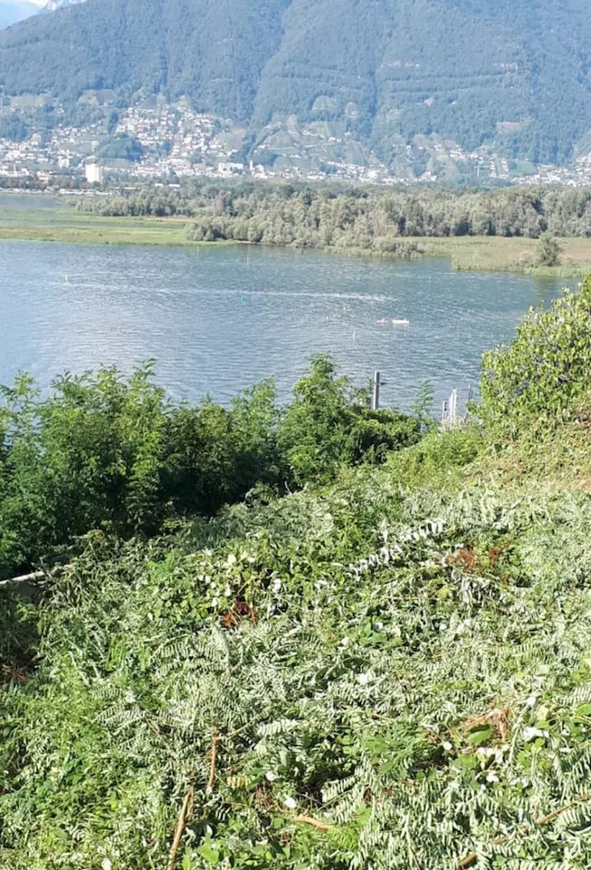 Building plot with panoramic view of Lake Maggiore and the mountains