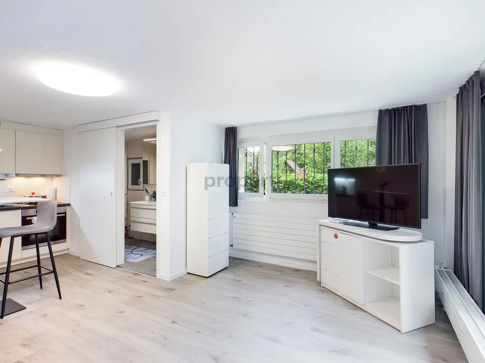Appartement meublé 2 pièces à Schliern près de Köniz