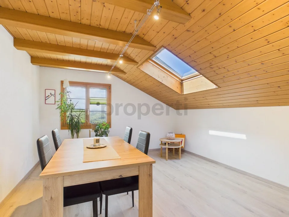 Balcon avec vue sur le Sempachersee, fraîchement rénové et tour de lavage privée