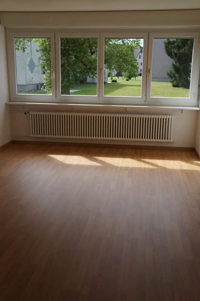 Large 2.5-room apartment with sunny location