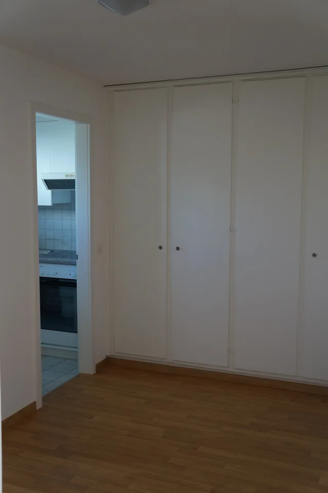 Large 2.5-room apartment with sunny location
