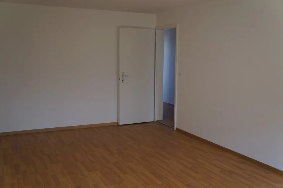 Large 2.5-room apartment with sunny location