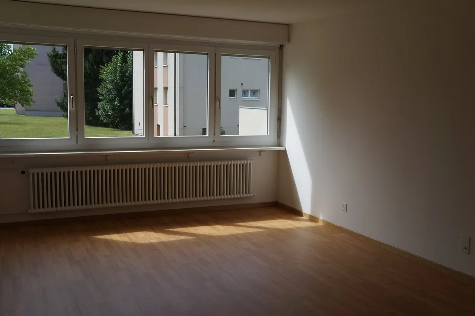 Large 2.5-room apartment with sunny location