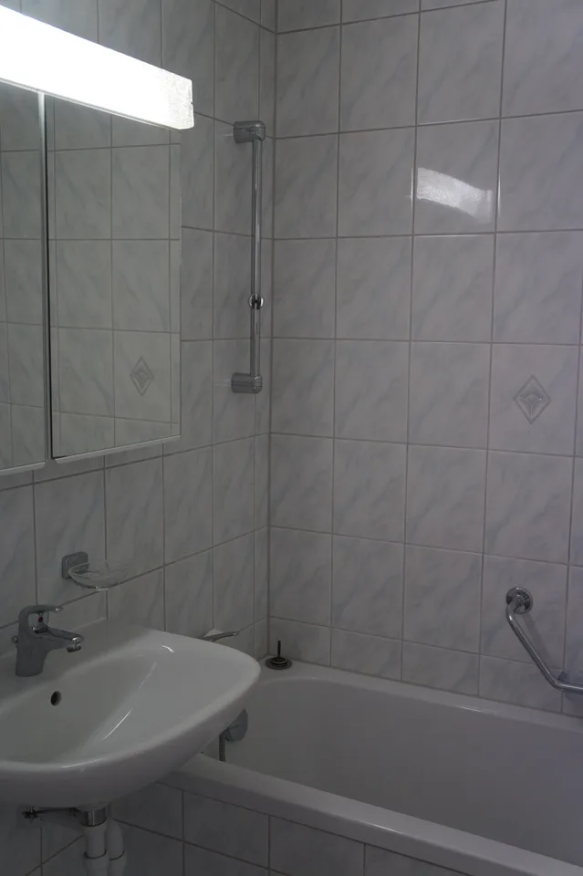 Large 2.5-room apartment with sunny location
