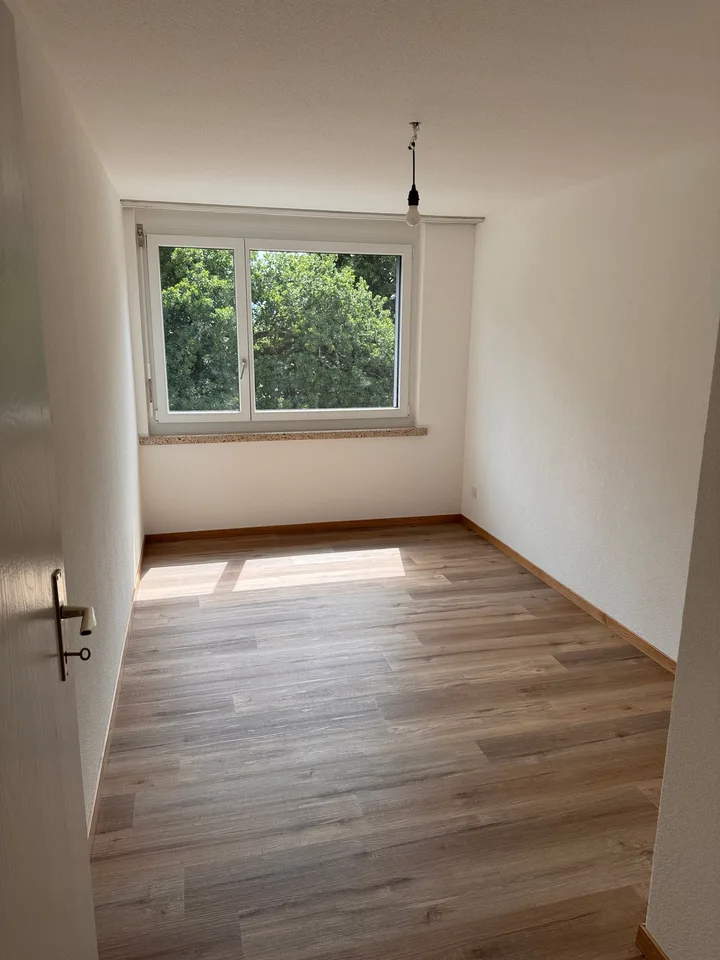 Appartamento ristrutturato di 3,5 locali con vista