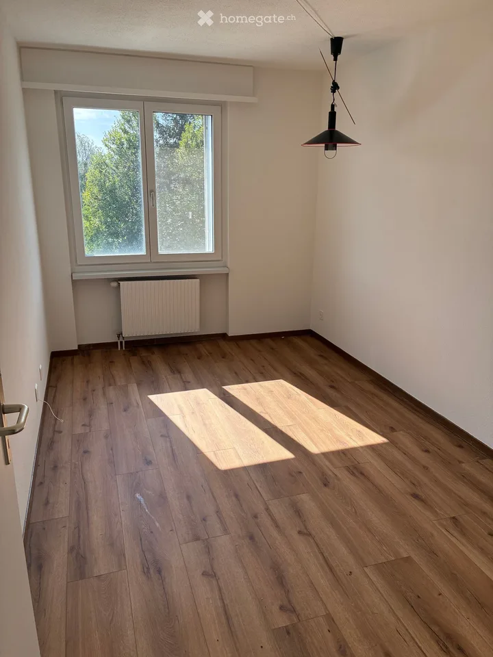 6.5 Zimmer - Etagenwohnung in Wiesendangen