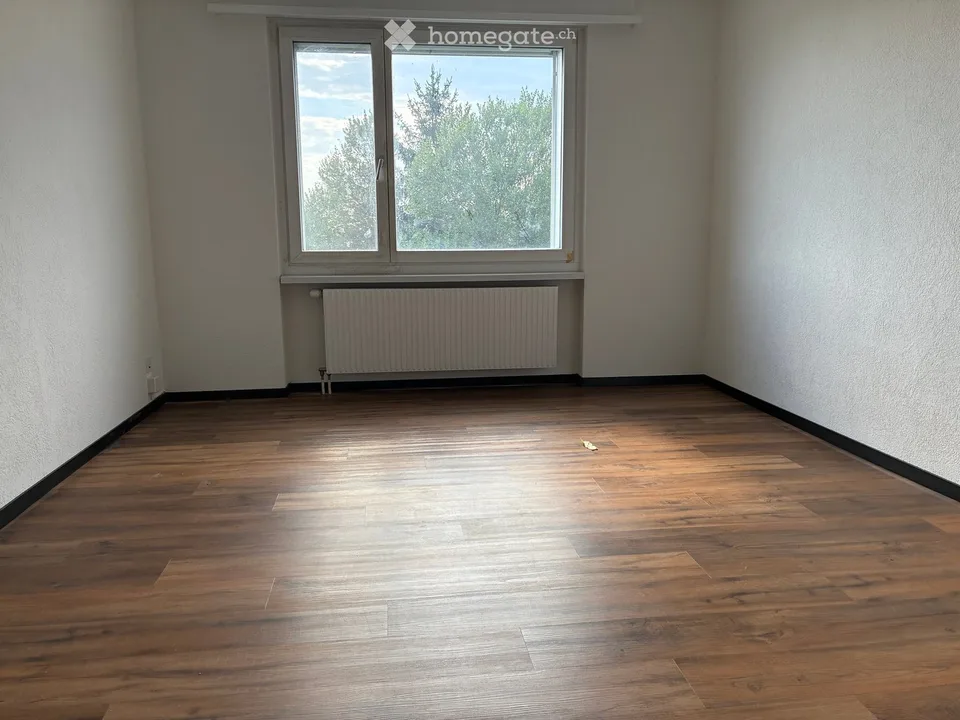 6.5 Zimmer - Etagenwohnung in Wiesendangen