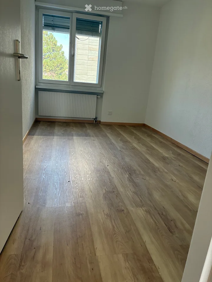 6.5 Zimmer - Etagenwohnung in Wiesendangen