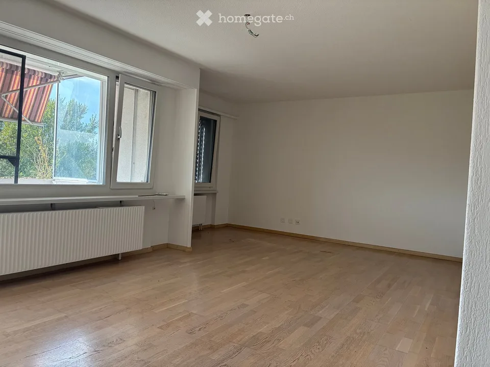 6.5 Zimmer - Etagenwohnung in Wiesendangen